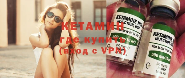 шишки Абаза