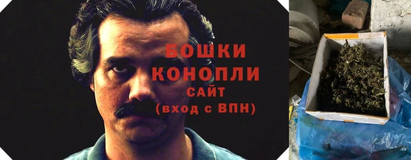 шишки Абаза