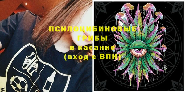 шишки Абаза