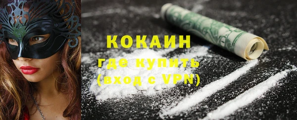 шишки Абаза
