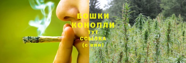 шишки Абаза